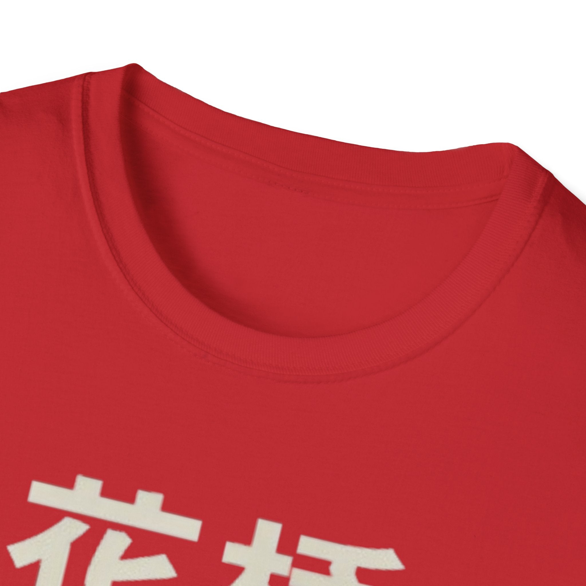 Flower Bridge 花桥 T Shirt
