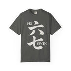 Graphic Tee — Six Seven 六七