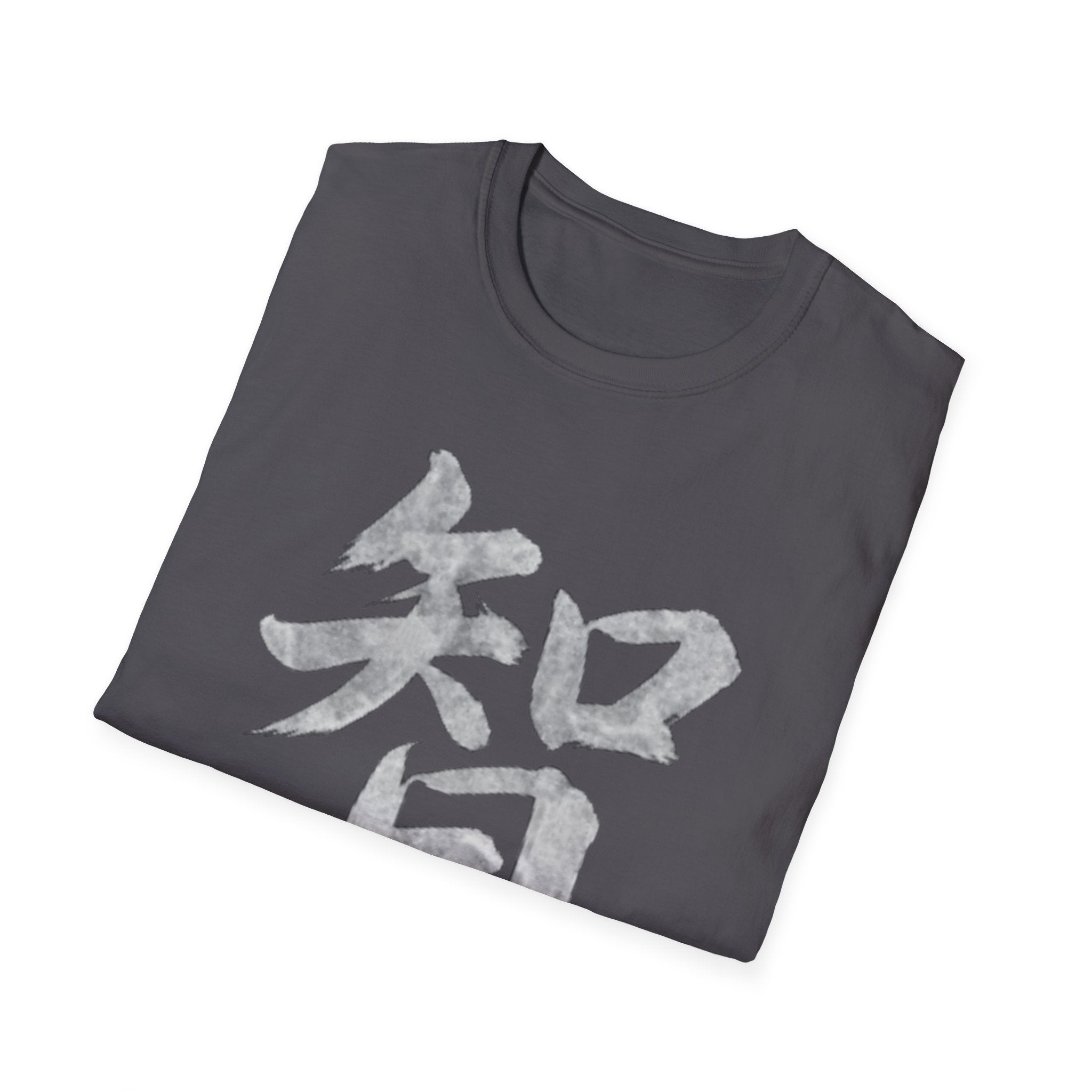 Wisdom 智 T Shirt