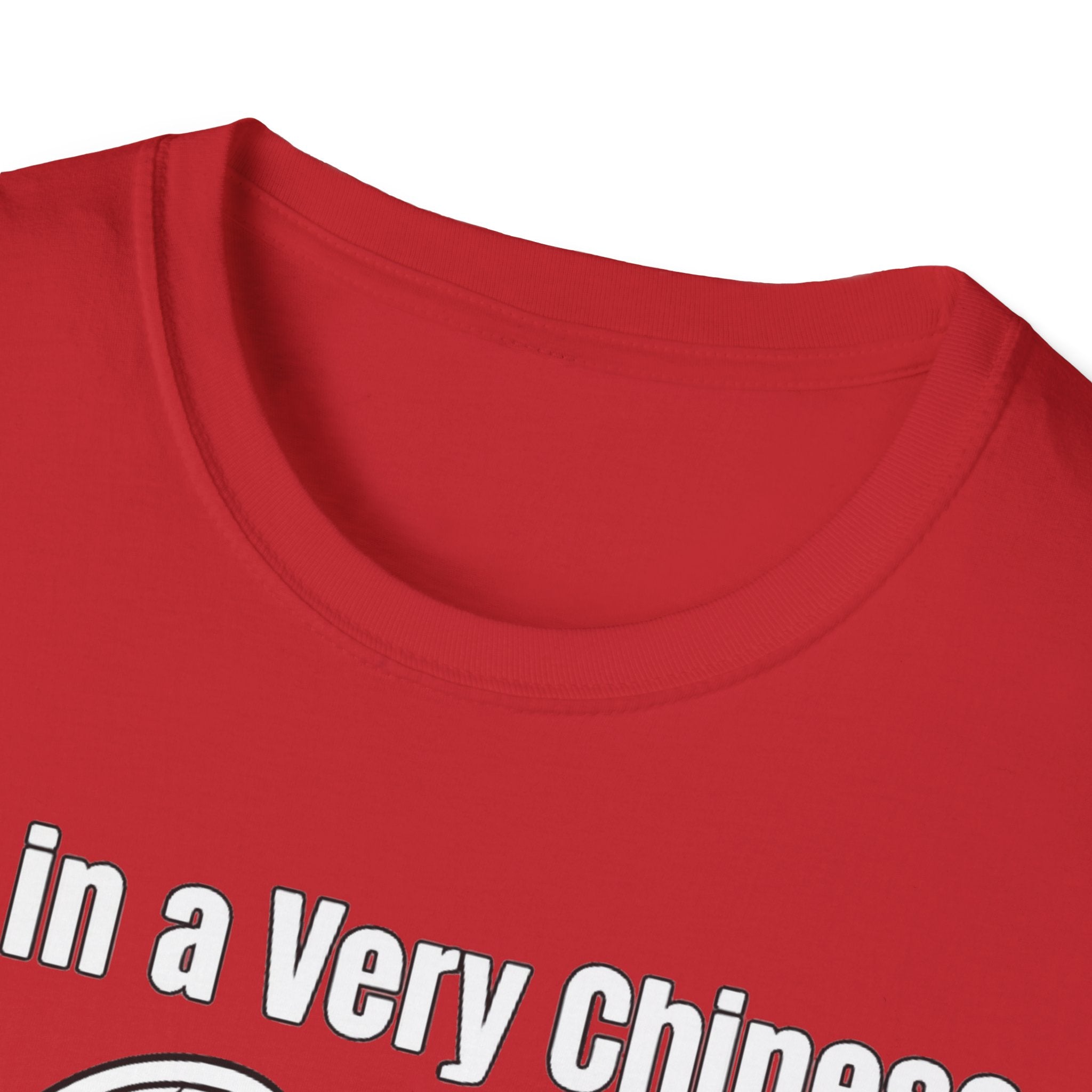 I'm in a very Chinese Time of My Life T Shirt
