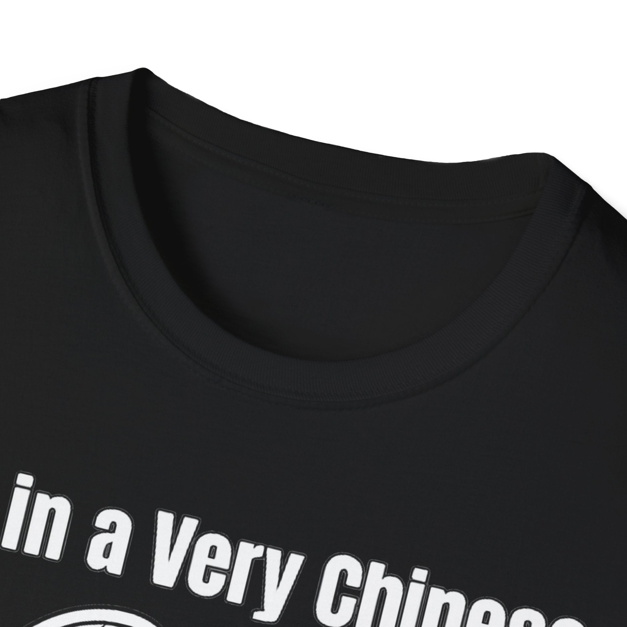 I'm in a very Chinese Time of My Life T Shirt
