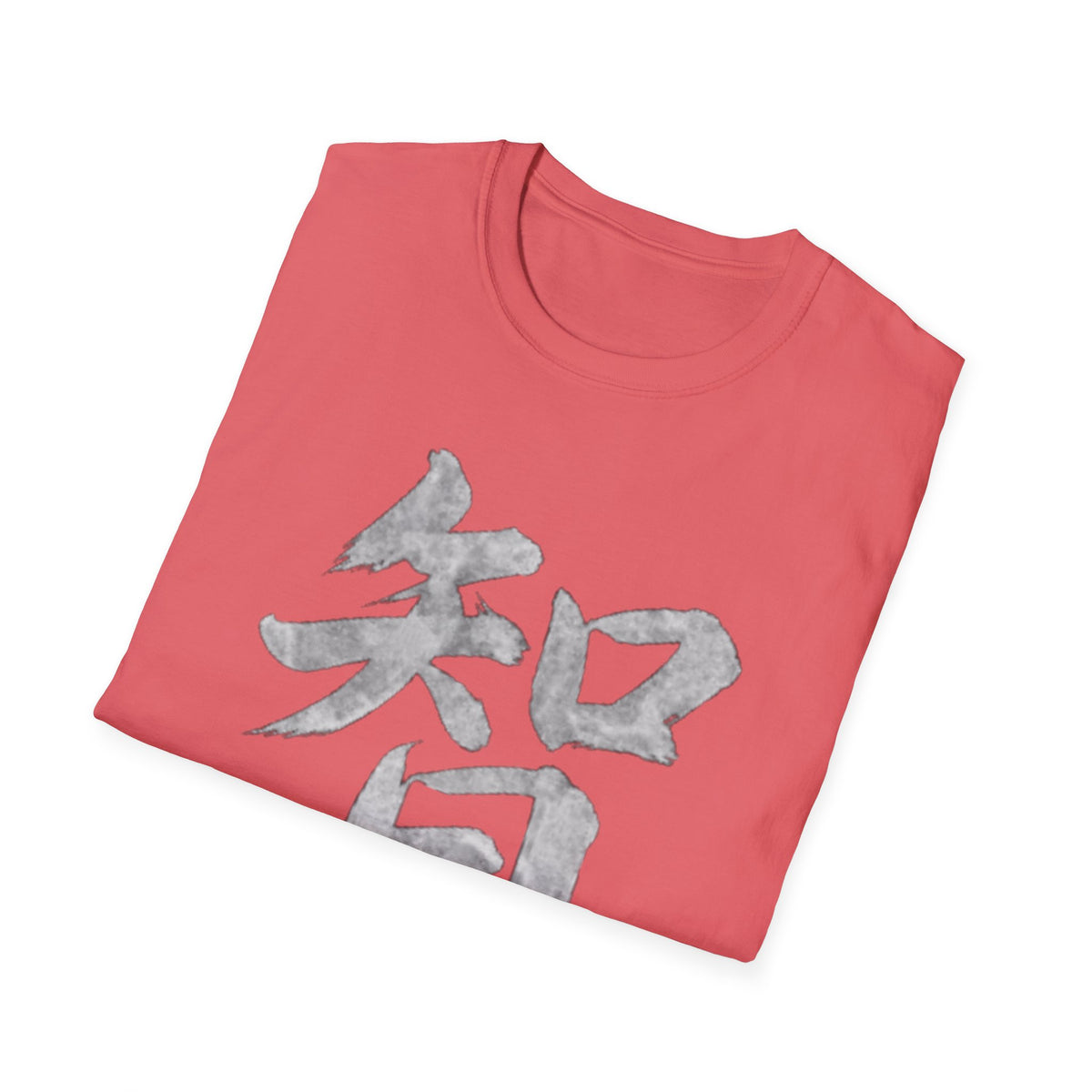 Summer Tee — Wisdom 智