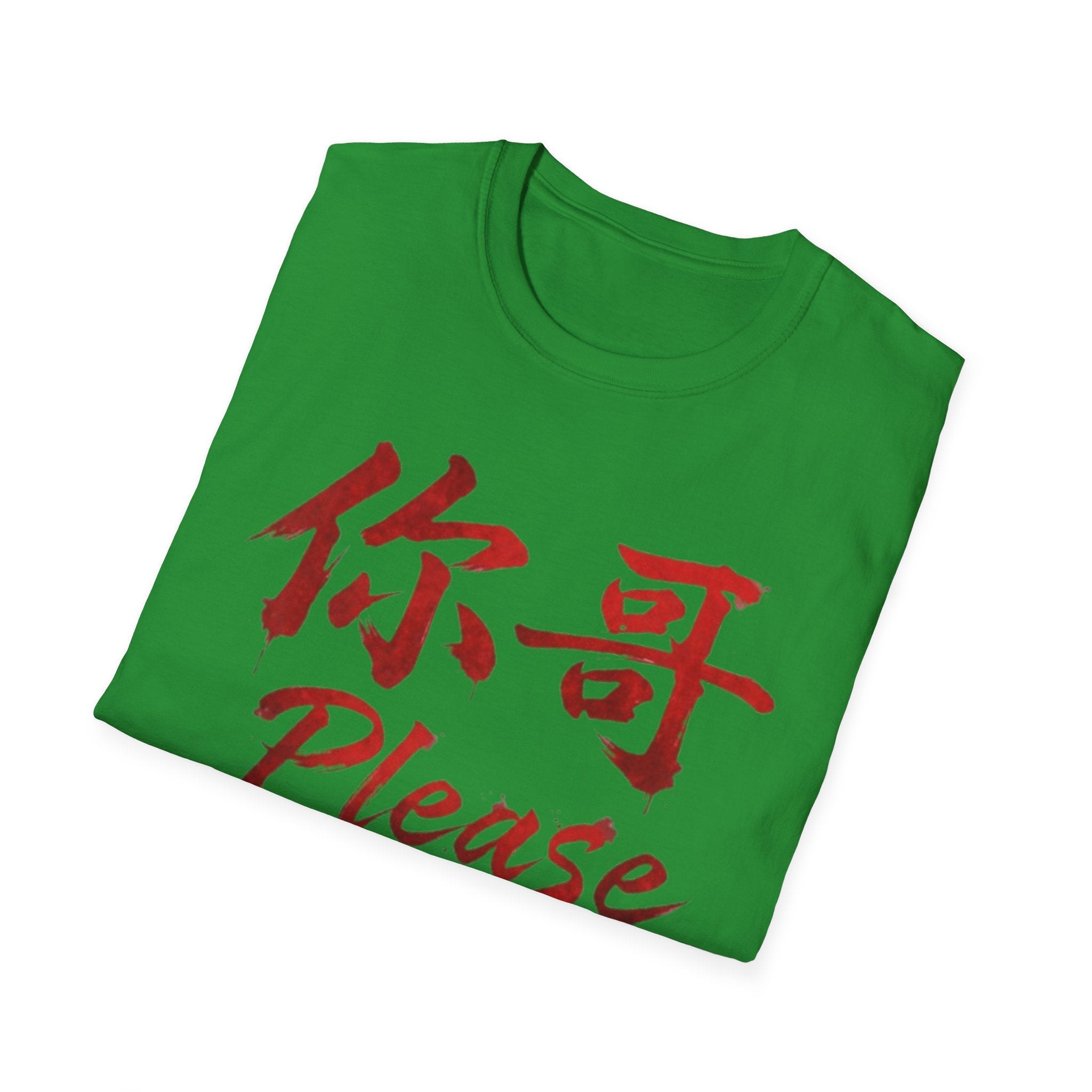 Authentic 正宗 T Shirt