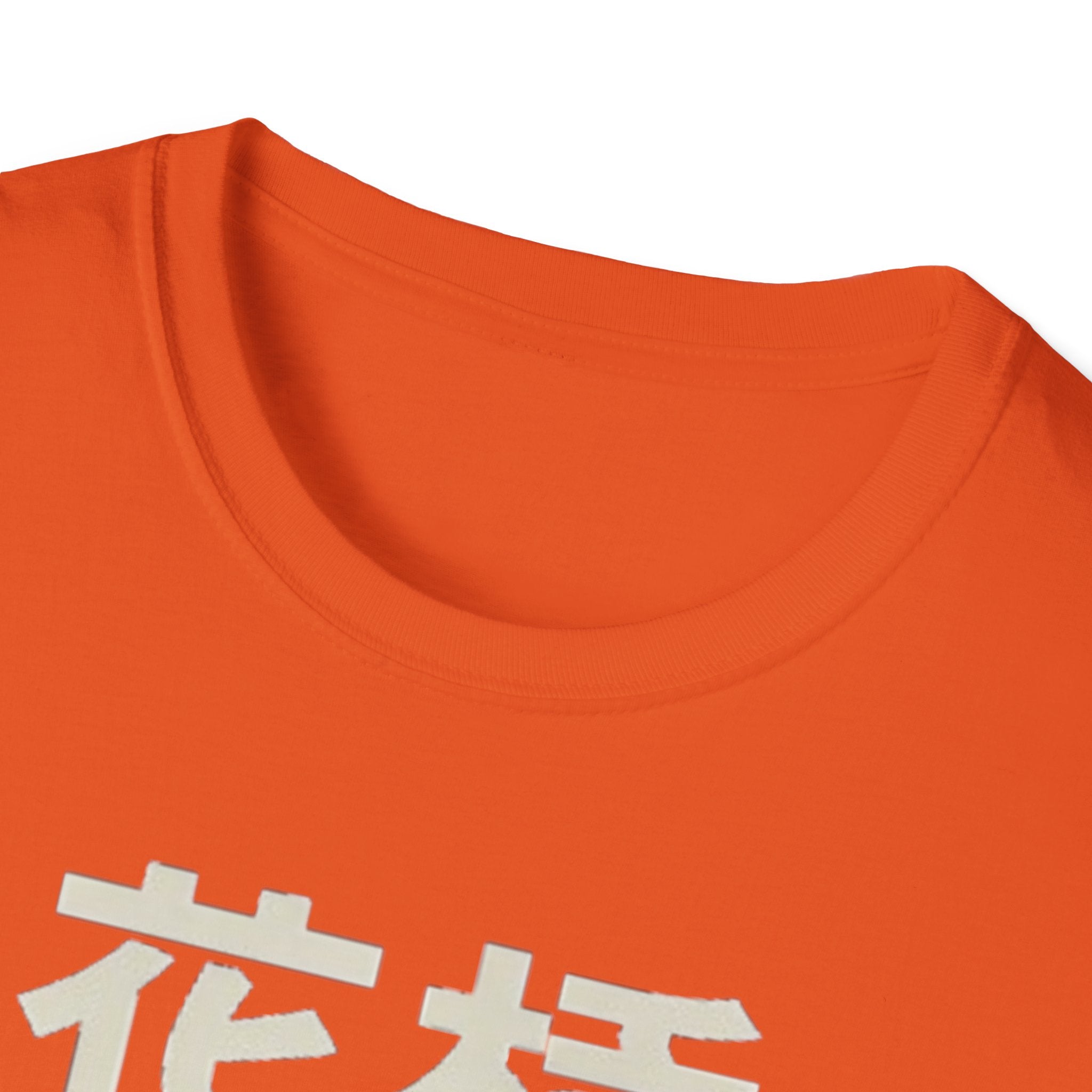 Flower Bridge 花桥 T Shirt