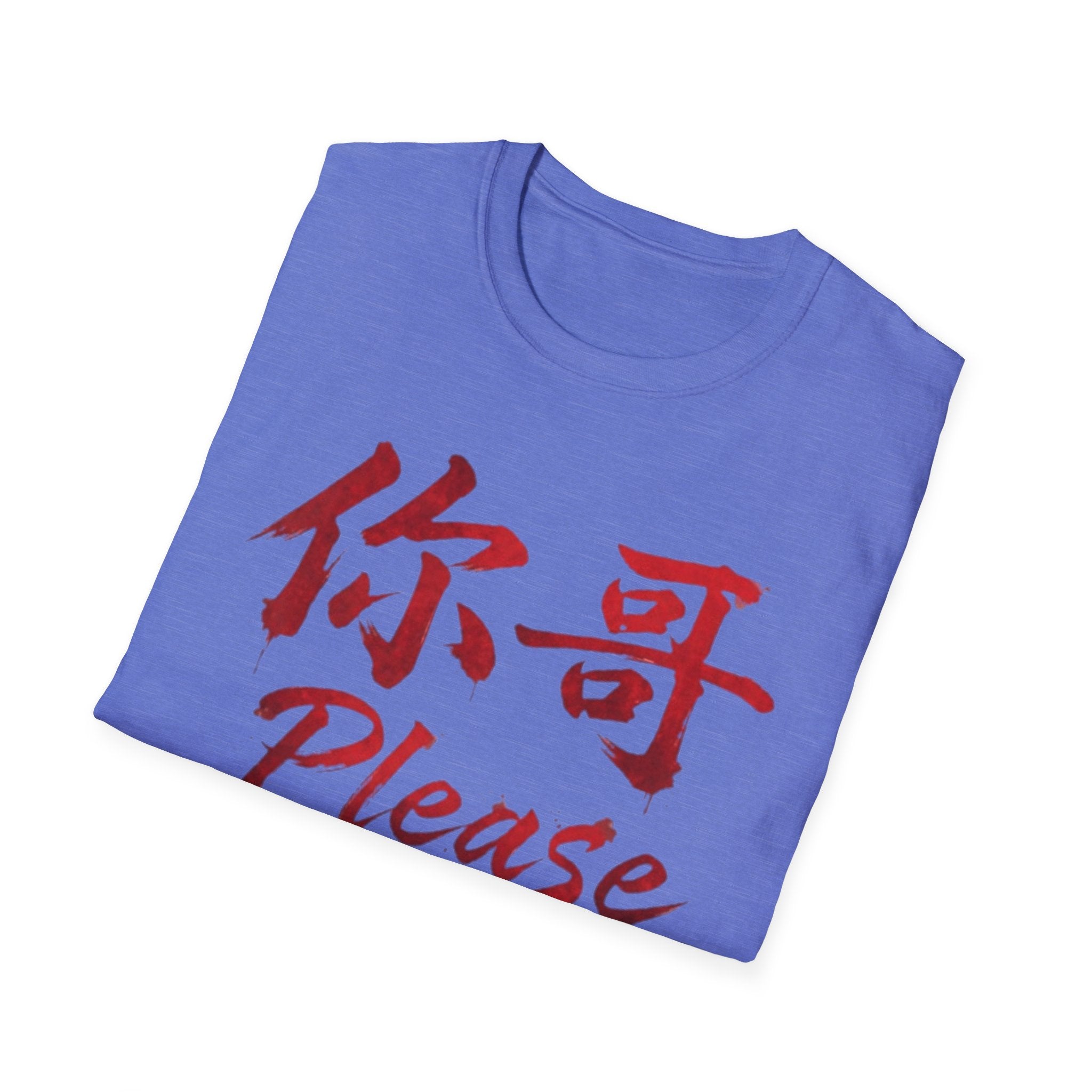 Authentic 正宗 T Shirt