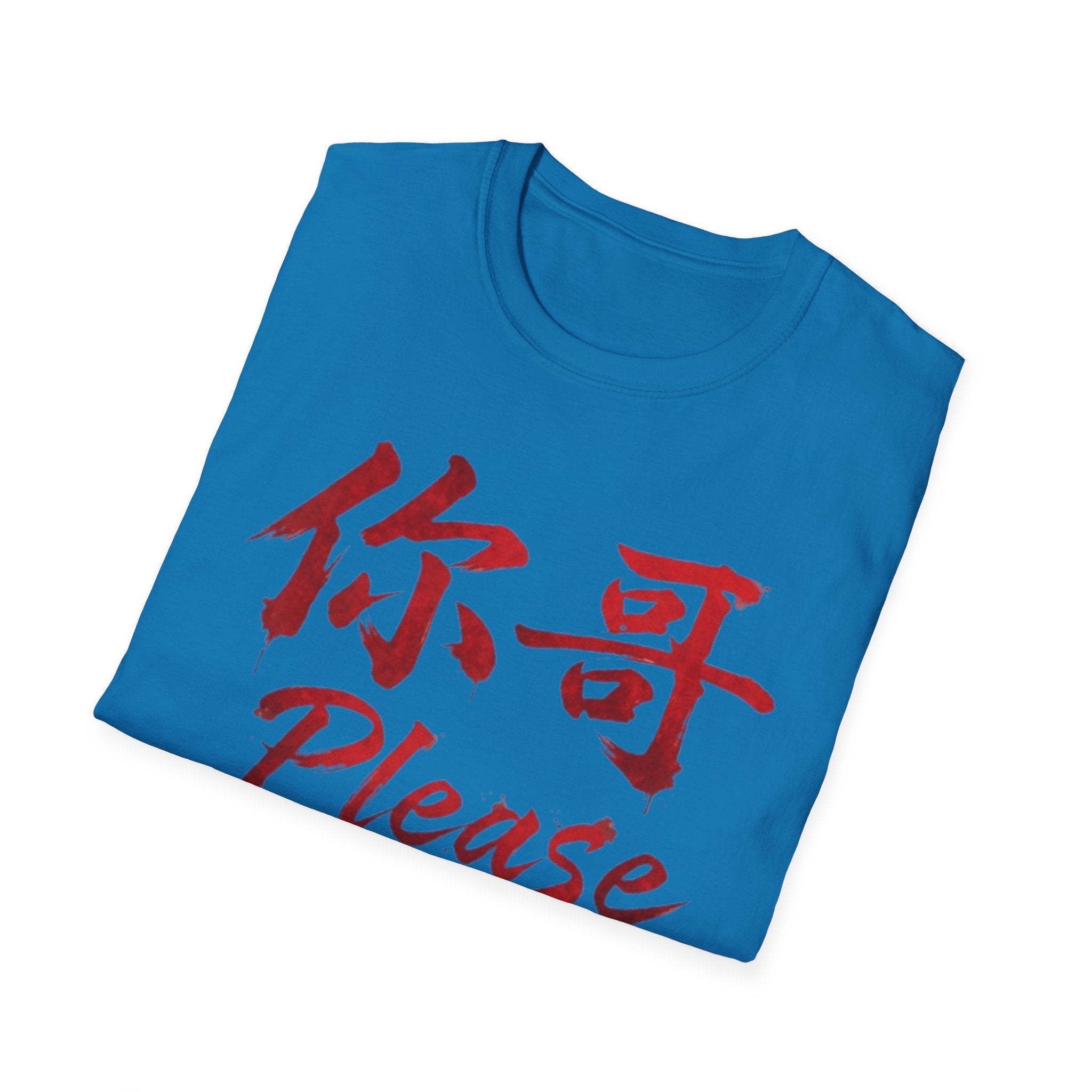 Authentic 正宗 T Shirt