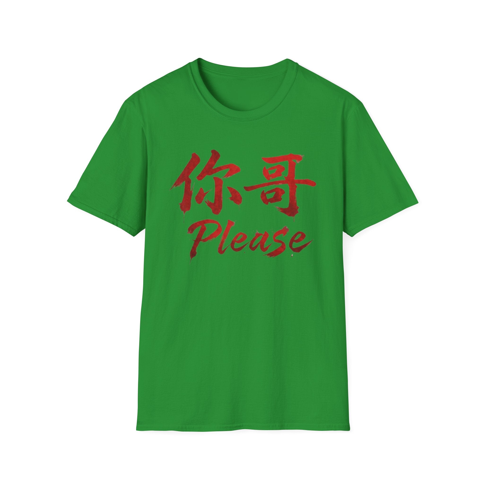 Authentic 正宗 T Shirt