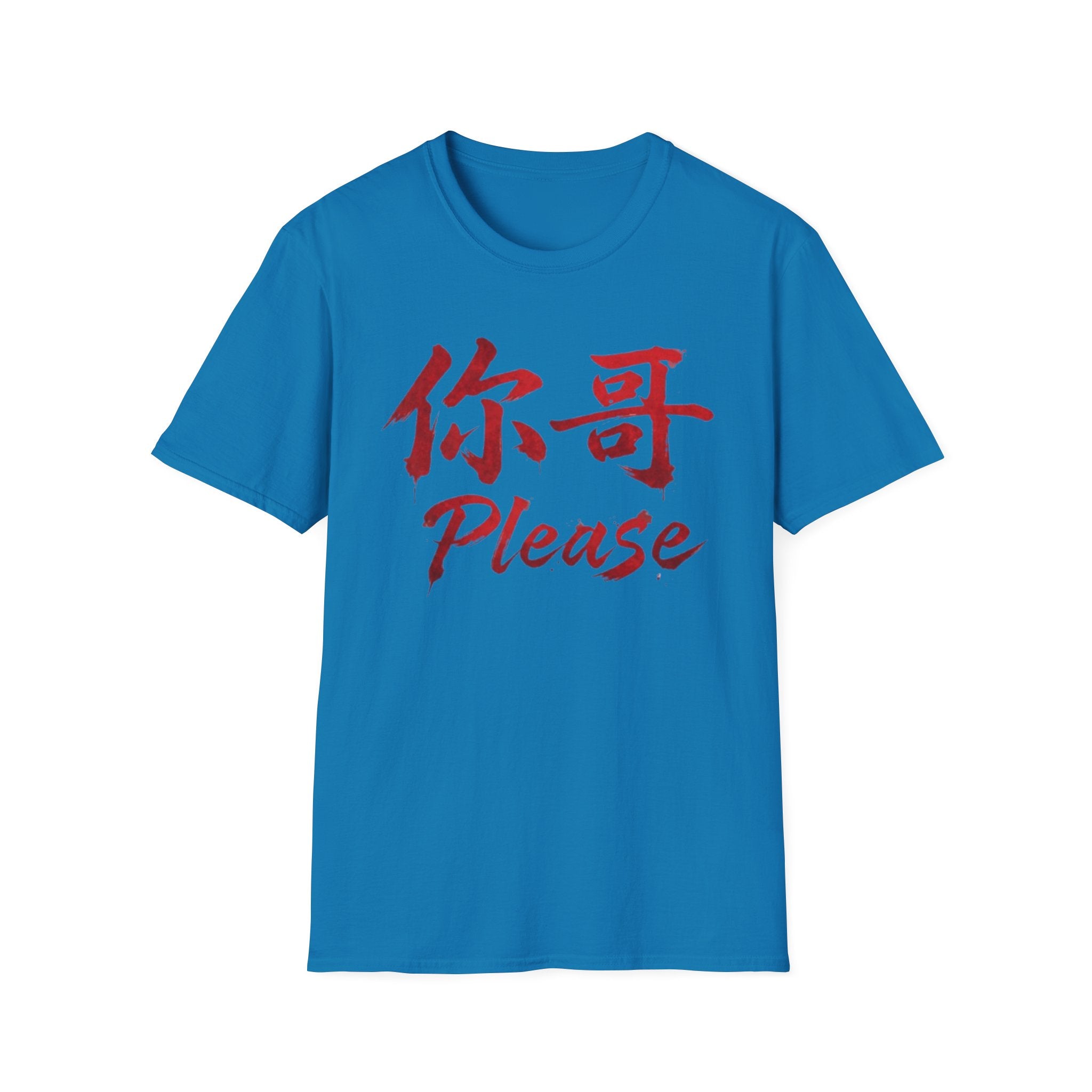 Authentic 正宗 T Shirt