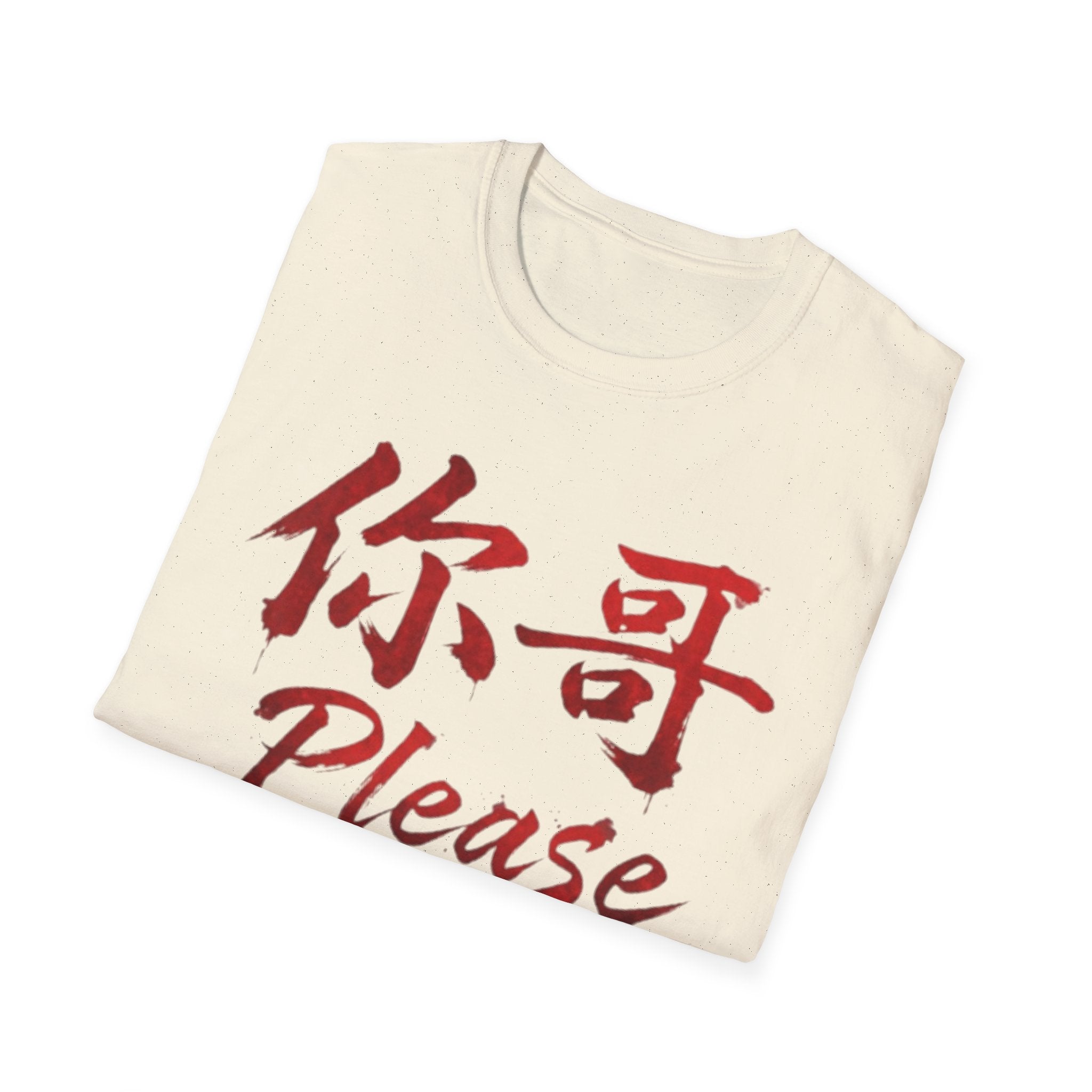 Authentic 正宗 T Shirt