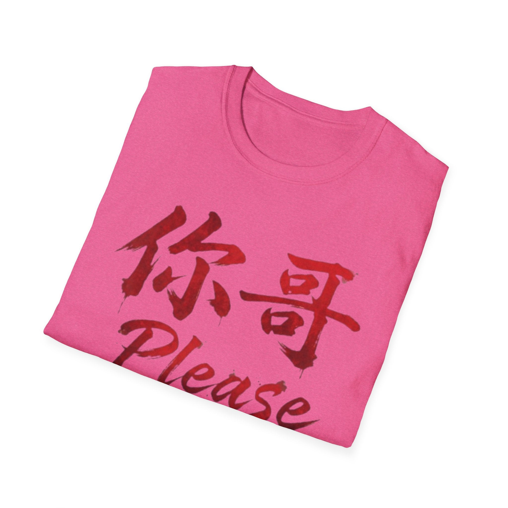 Authentic 正宗 T Shirt