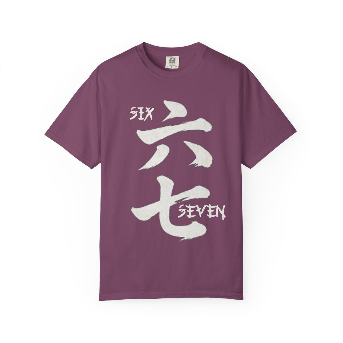 Graphic Tee — Six Seven 六七