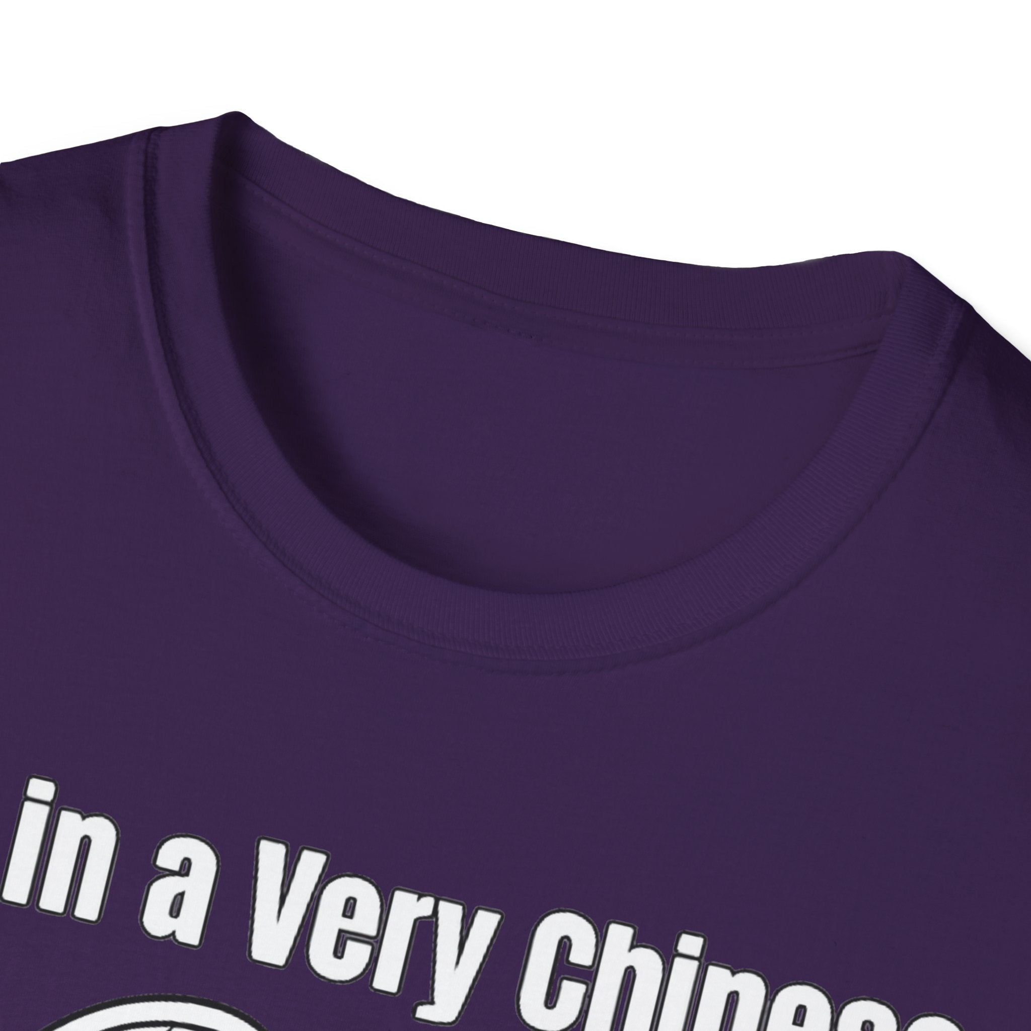 I'm in a very Chinese Time of My Life T Shirt