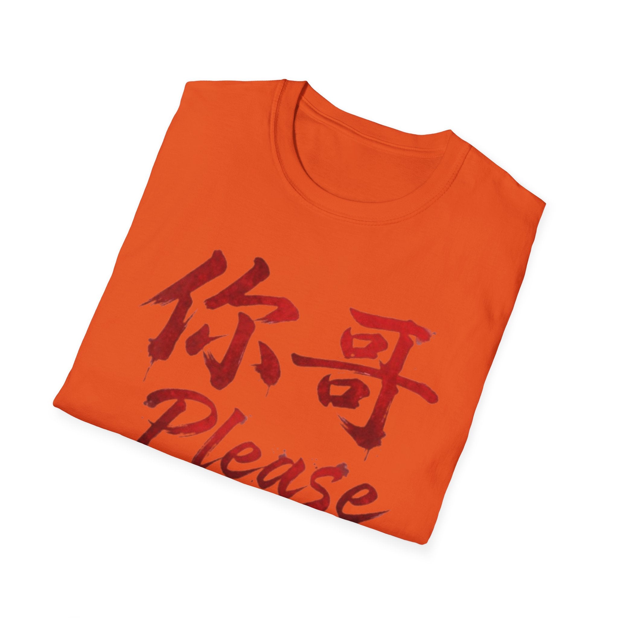 Authentic 正宗 T Shirt