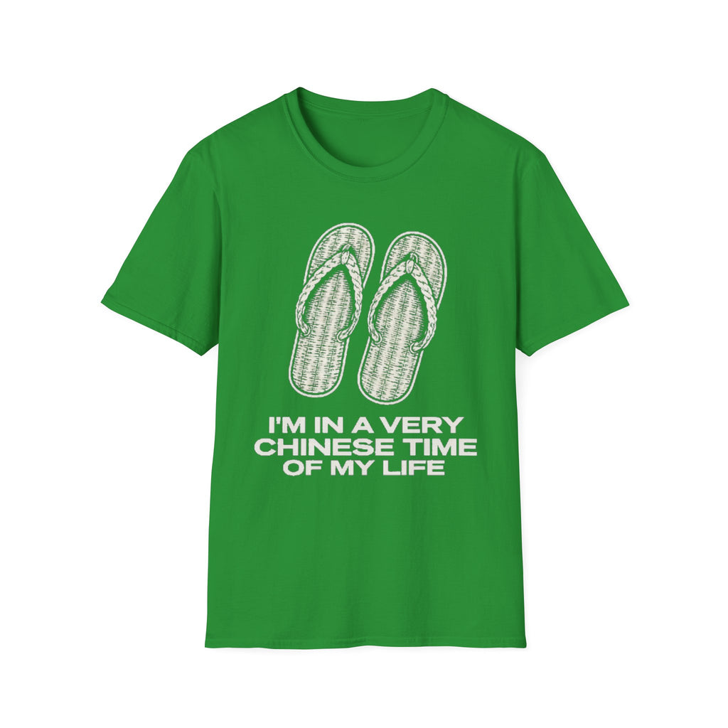 I'm in a very Chinese Time of My Life T Shirt