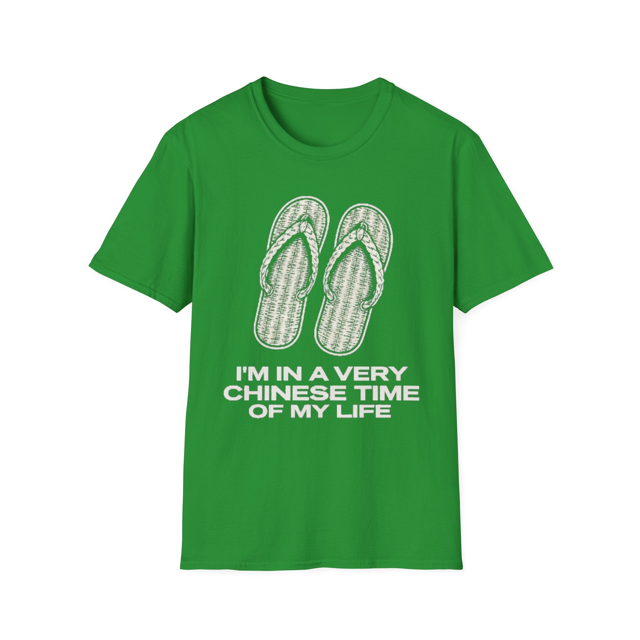 I'm in a very Chinese Time of My Life T Shirt