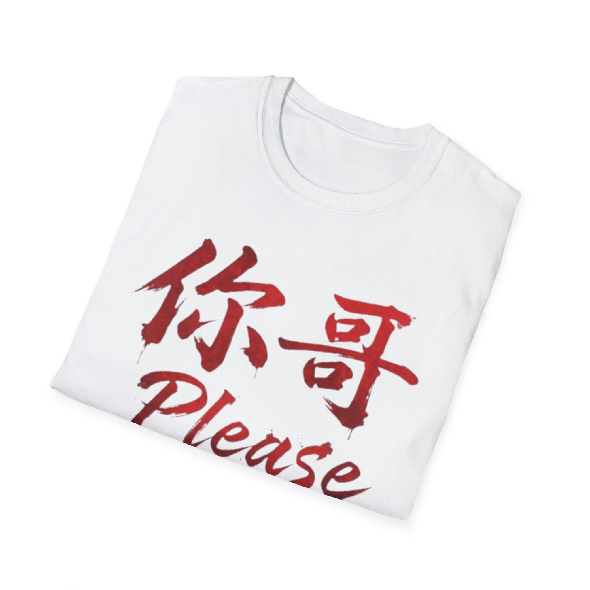 Authentic 正宗 T Shirt