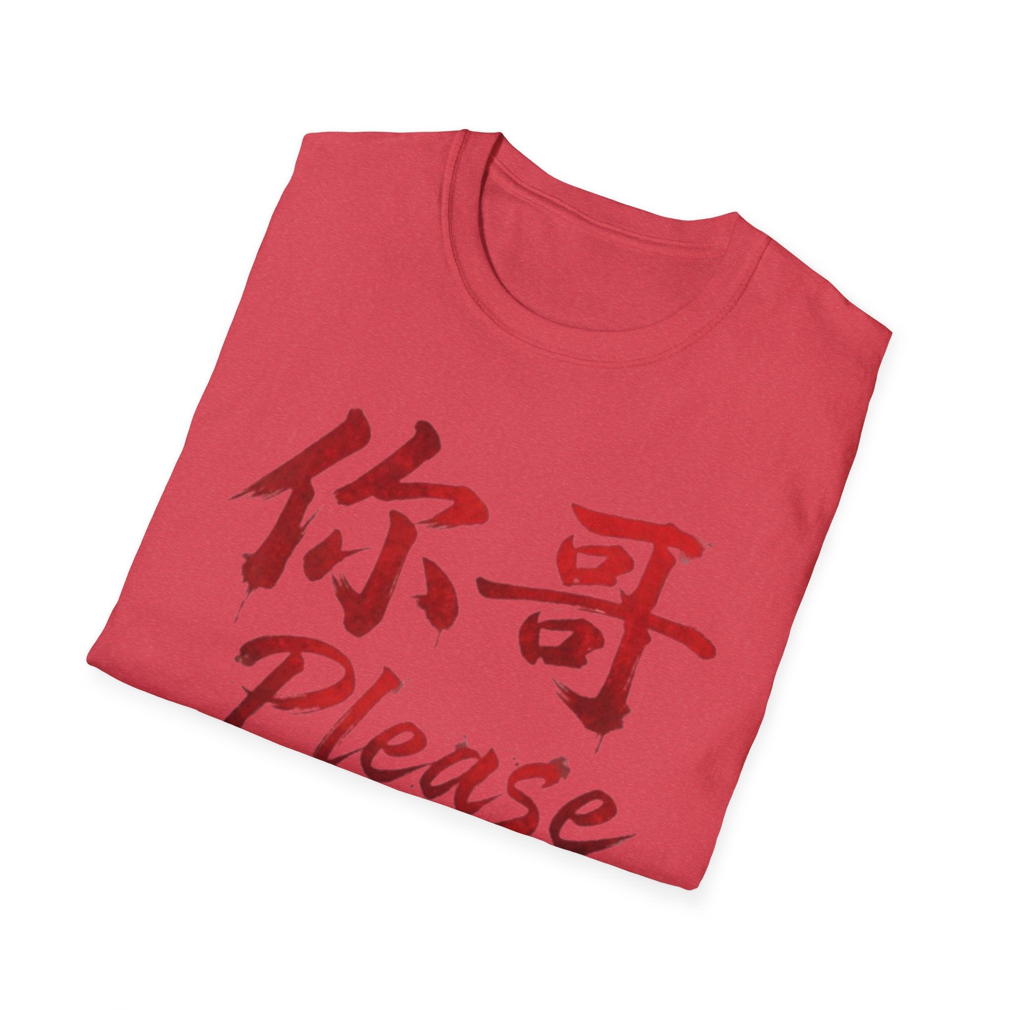 Authentic 正宗 T Shirt