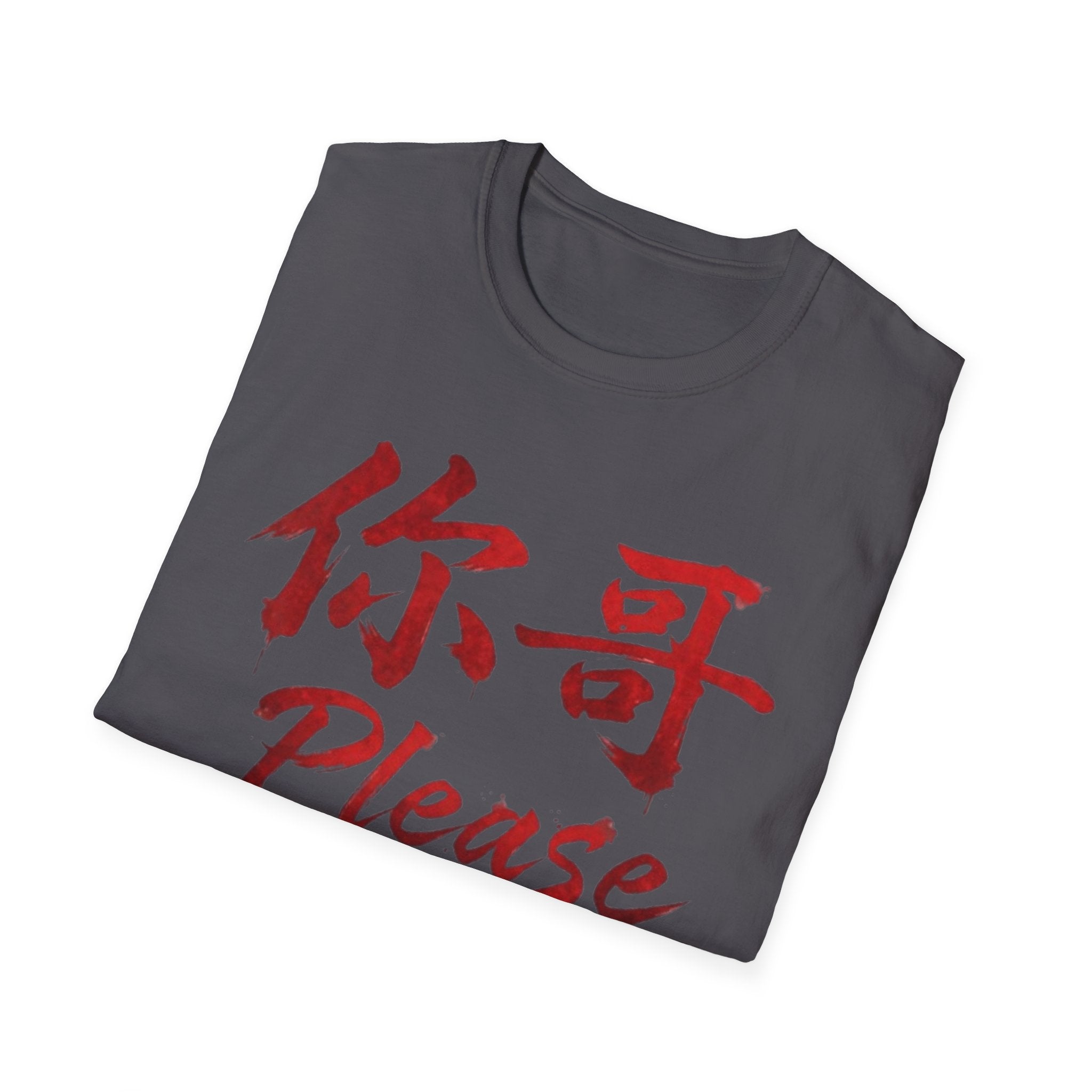 Authentic 正宗 T Shirt
